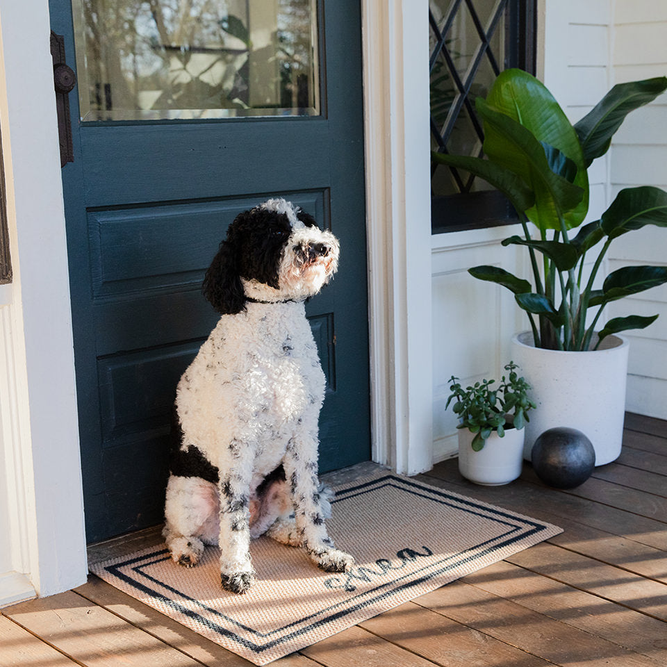 Non-shedding, low-profile single door entrance mat with a cute pup sitting on top of the mat at the front door.