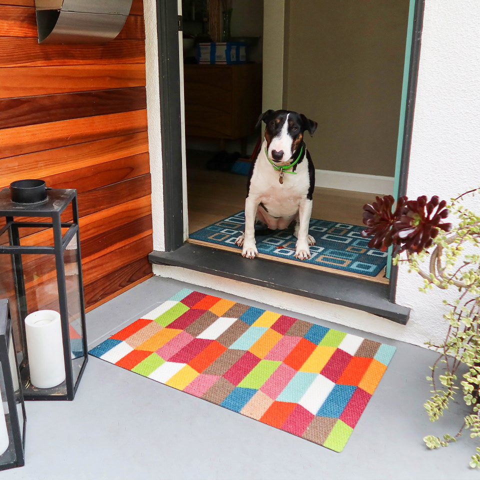 A cute dog at the entrance of home, sitting over a Neighburly Colorful Tulips doormat that's protecting the flooring.