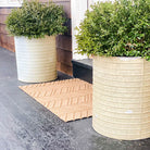 Chevron styled in vein doormat at front door with two plants