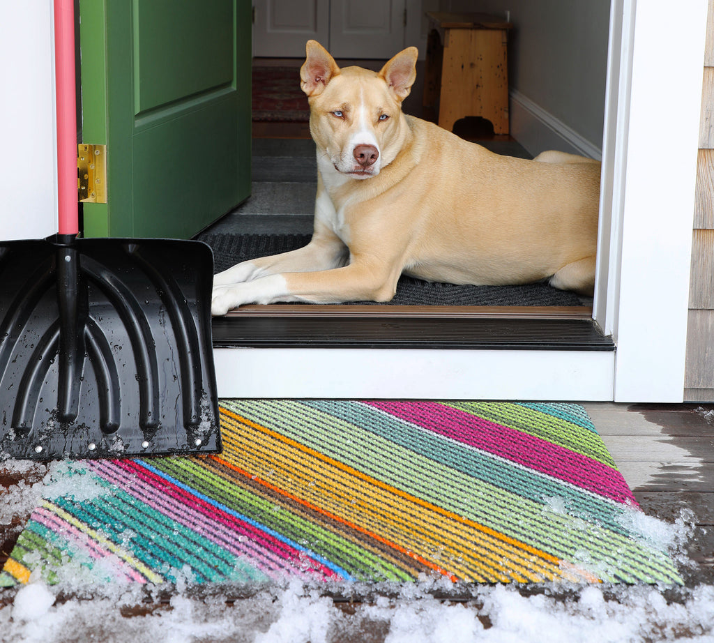 Bright bold multicolor diagonal striped single door doormat