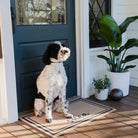 Non-shedding, low-profile single door entrance mat with a cute pup sitting on top of the mat at the front door.