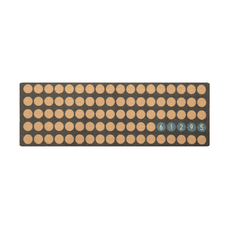 Double door Lucky Numbers mat personalized with street numbers in aqua circles with coir circles in a linear pattern.
