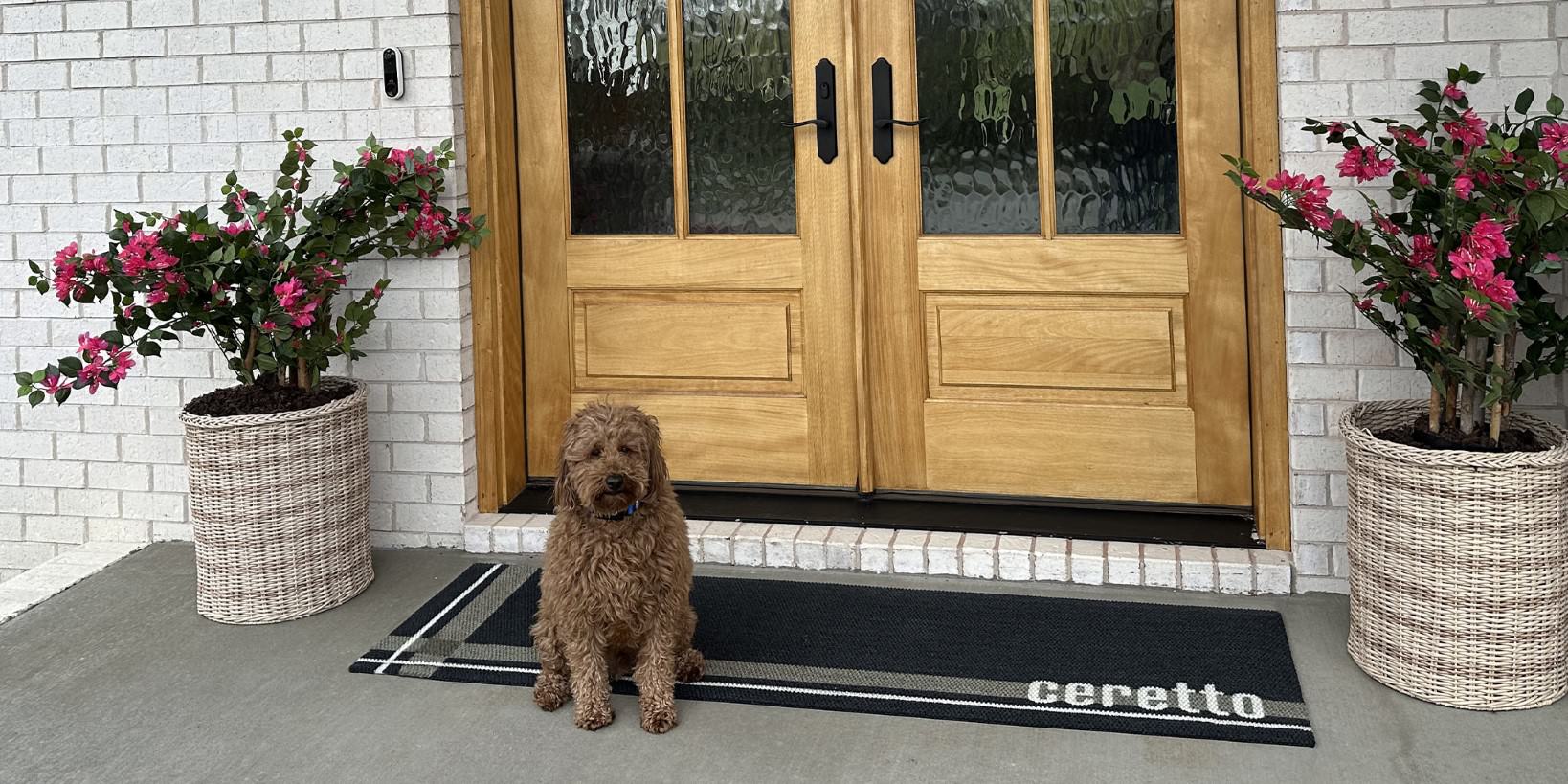 Neighburly's personalized double door Corner Lot in black with a white text last name at the bottom right with a dog sitting on the mat.