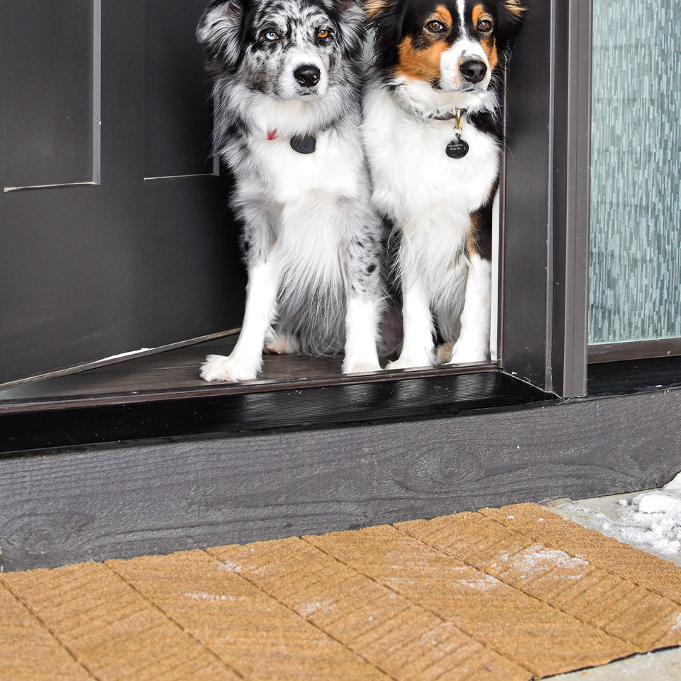 WaterHog Luxe In Vein doormat stop dirt and debris at doors, even from pets.