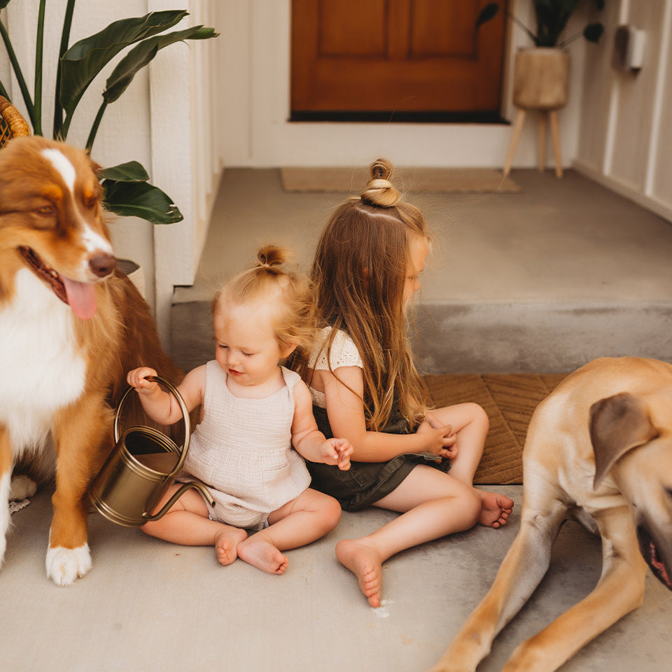 WaterHog Luxe In-Vein double door doormat in wheat color placed outside in front of front door with two small children and two chill dogs making use of this outdoor doormat while they play.